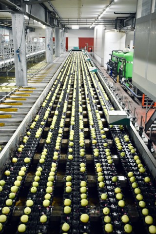 Key Benefits for Food and FMCG Teams using Business Central